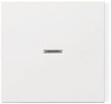 GIRA Abdeckung Kontrollschalter System 55, Standard 55, E2, Event, Event Klar, Event Opak, Esprit, C