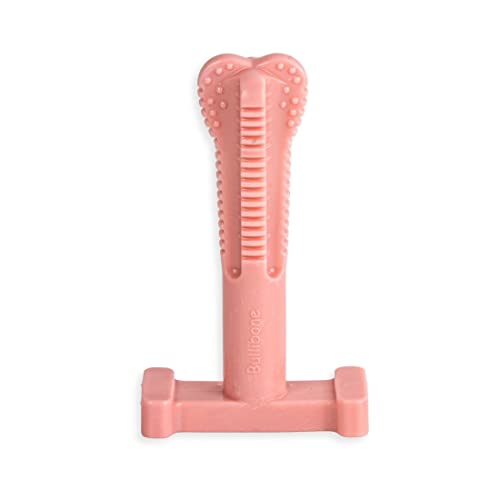 Bullibone SuperBrush: Dog Teeth Cleaning Brushing Toothbrush Stick - Long Lasting Nylon Pink Peppermint Chew Toy for Oral Care and Dental Health