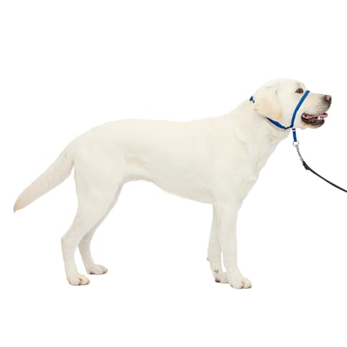 PetSafe Gentle Leader Headcollar No-Pull Dog Collar - Helps Improve Walks - Durable Nylon Construction - Padded Nose Loop - Adjustable Fit - Comfort Walking Halter - Large, Royal Blue