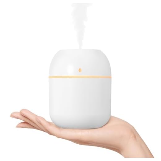 Portable Small Humidifier, USB Personal Desktop Humidifier for Car, Office Room, Bedroom, Auto Shut-Off, 2 Mist Modes, Super Quiet(220ml, White)