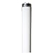 Halco F40DX/ECO 40W 4 ft. 6500K T12 Linear Fluorescent Tube 35202 (Case of 30)