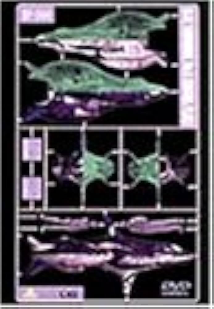 青の6号 BLUE FLEET BOX　DVD3枚+CD3枚　初回限定生産 Amazon.co.jp: 青の6号 BLUE FLEET BOX ＜初回限定生産＞ 「青の