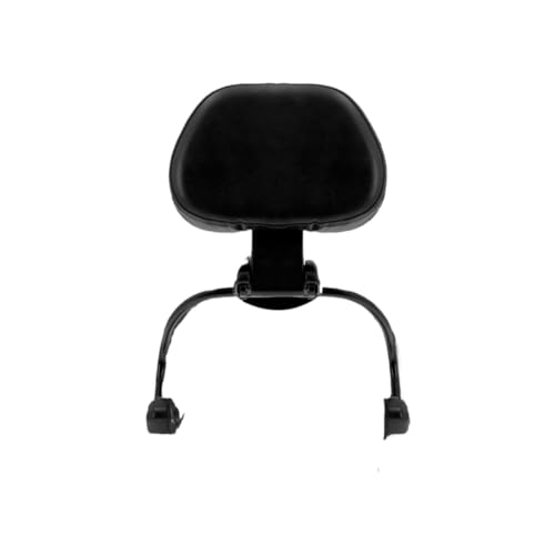 Cojín delantero para Sportster XL883 XL1200 con respaldo desmontable