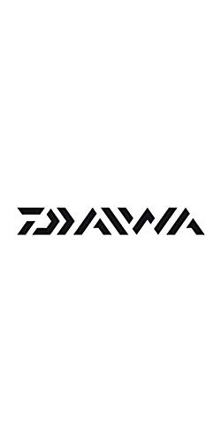 Bobine Daiwa Stz23A2Tw1000Hl-Xhl l'excellence de la haute technologie Z027136