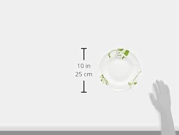 Amazon.co.jp: リチャードジノリ フィオーリ ヴェルディ スープ 24cm