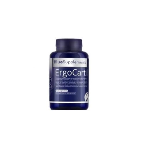 Ergocartil 120Cap 1 unité 200 g