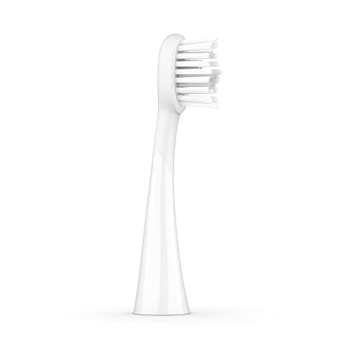 Têtes brosse à dents électrique sonique Ordo élimination plaque