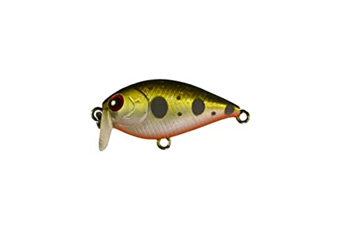 Pesca Galleggiante Crankbait Baby Cavedano Bass