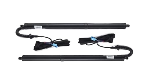 tgQ[gAN`G[^Xgbg ɓK RAV4 XA50 2019-2024 e[Q[g de[Q[gtgT|[g ԗp[AhAtgQ[gXgbg(With Foot Sensor)