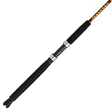 Ugly Stik Bigwater Conventional Fishing Rod,Black/Red/Yellow