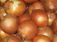 Onion Seeds- Sweet Yellow Spanish Heirloom- 250+ Seeds #TOP19