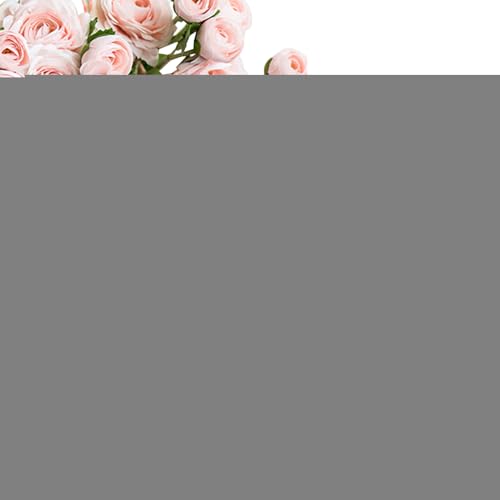 Ebh mbg fR[V | ؂̃`F[N,{[z[ 蒤 A H|i TVX^h I R[q[e[u {I }g Q p