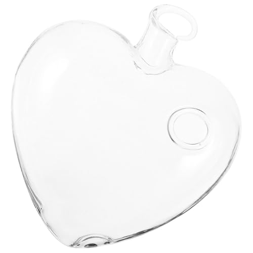 ANDRESLAD Jarrón Colgante de Vidrio de Borosilicato en Forma de Corazón Macetero Pequeño para Hidroponía y Decoración del Hogar Contenedor de Flores Colgantes para Dormitorio y Oficina