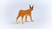 Schleich Wild Life Realistic Female Caracal Toy Figurine - Authentic and Highly Detailed Animal Toy, Durable for Education and Fun Play, Perfect Toy for Boys and Girls, Ages 3+