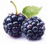Simply Clean Foods Freeze Dried Blackberries – Non-GMO -