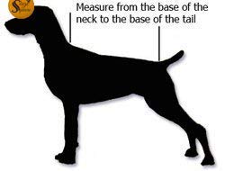 Image of Sage Square Dog Coat, Ultra Warm Windproof Winter, Thicker Fleece Jacket for Cold Weather. (Medium- 20 Inches, Black Plain)