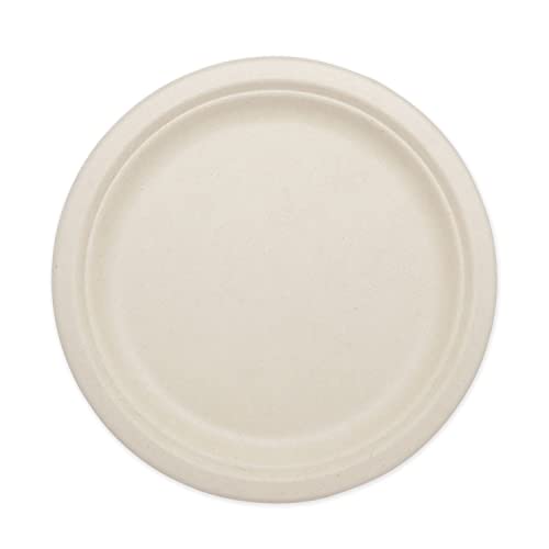 World Centric Wheat Straw/Bagasse STF9 Compostable 9-Inch Fiber Plate ...