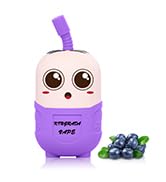 ECENK 8500 Vaper Sin Nicotina Recargable Cigarrillo Electrónico Pod Kit, Vaporizer 750mAh, Vape Recargable Kit E Cigarette, Vaporizador Sin Líquido, Tipo C