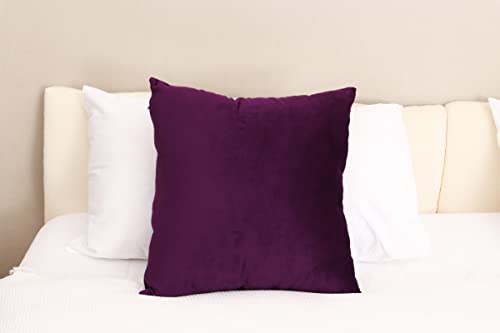 Cyuripu Pack Of 2 Velvet Couch Pillow Covers, Decorative Square Pillowcase Soft Solid Cushion Case For Sofa Bed 18 X 18 Inch,Luxury Purple #TOP4