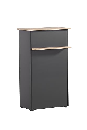 Schildmeyer Mostrador de recepción, Material de Madera, decoración Artesanal en Roble/Negro, 65,8 x 44 x 110,5 cm