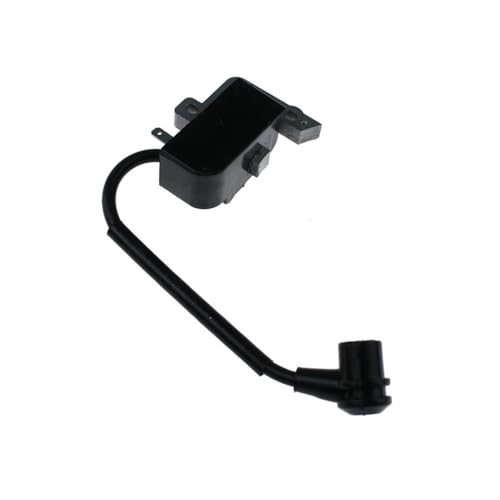 Bobina de encendido para solucionar problemas de arranque en PP-1400 y PAS-2400 2