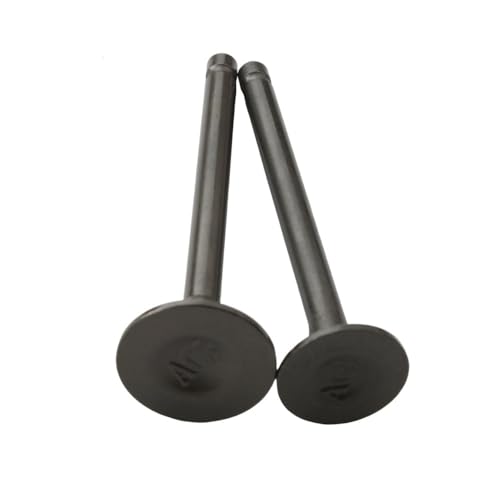 Válvulas de admisión y escape para Fiddle 3, Symphony SR y Jet 4 50cc