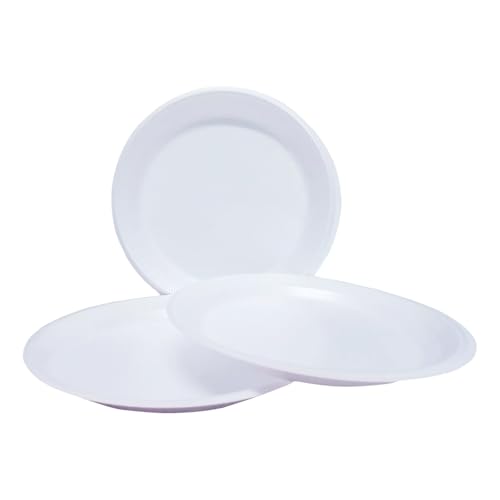 Prato Isopor Refeição 23 Cm C/100 Unidades Festa Descartável Churrasco