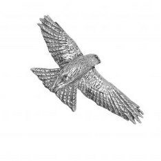 Red Kite Pin Badge Brooch Gift, Supplied in Organza Bag
