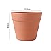 OLEEP 4inch 10pcs Terracotta Pots, Terracotta Pots for Plants/Succulent/Cactus with Drainage for Indoor, Outdoor, Home Office Decoration