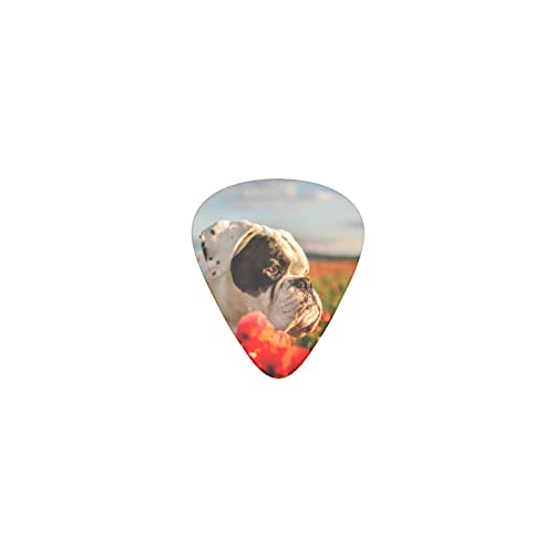 ドイツボクサーとお花 デザインギターピック guitar pick ティアドロップ型 エレキギター/アコースティックギター/クラシックギター/ベース等の練習に最適な12枚セット