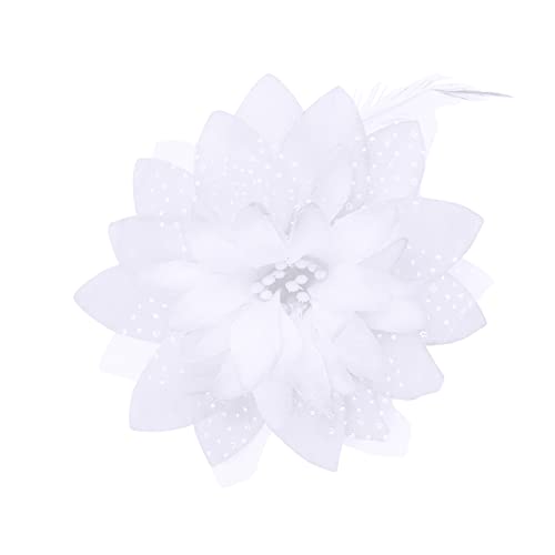 Women 2Pcs Ballet Platter Tulle Skirt Professional Swan Dance Leotard Ballerina Costume Adult Pancake Tulle Skirt With Hair Clip 7 Layers Hard Organdy Mesh Tutu For Rehearsal White Large #TOP2