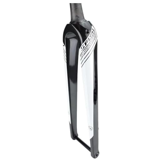 Full Carbon Fiber Rigid Fork