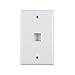 Hellermann Tyton FPISINGLE-W Single Gang 1 Port Faceplate with ID Windows, ABS 94V-0, White