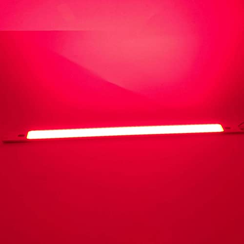 YSJX-ƒpd, 10pbNALEDr[YCOBXgbvvDC12V-14V 10W DIY LED푕dƖ()