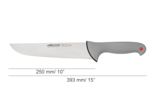 ARCOS Colour Prof Metzgermesser Edelstahl Nitrum 250 mm – Ansicht 3