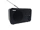 Maxxo DT02 Tragbares DAB + UKW InternetRadio WiFi Bluetooth Lautsprecher klein Digitalradio mit wiederaufladbarem batteriebetrieben Akku 2,4 TFT-Farbdisplay