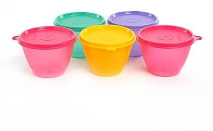Tupperware Plastic Fridge Container 450 ml Pack of 5 (Multicolor)