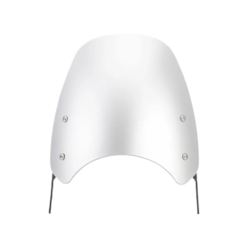 Pare-brise moto Eliminator 500 protecteur deflecteur air saute vent 2024 2025
