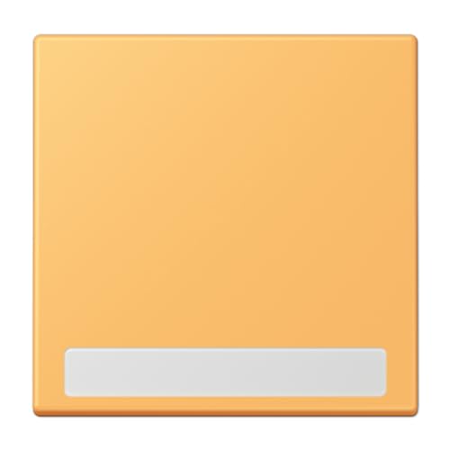 Jung Touche Simple avec Inscription LC4320L référence LC990NA254 pour interrupteur