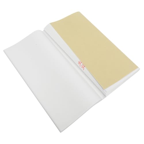Papier calligraphie chinoise WEKAMOS pour s'initier au dessin et créer sa décoration