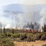 A Solution to the Growing Wildfire Problem
