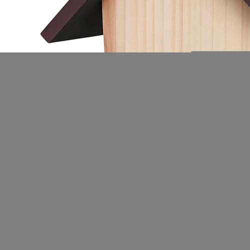 Mangeoire à oiseaux en bois avec corde supérieure, accessoire extérieur durable
