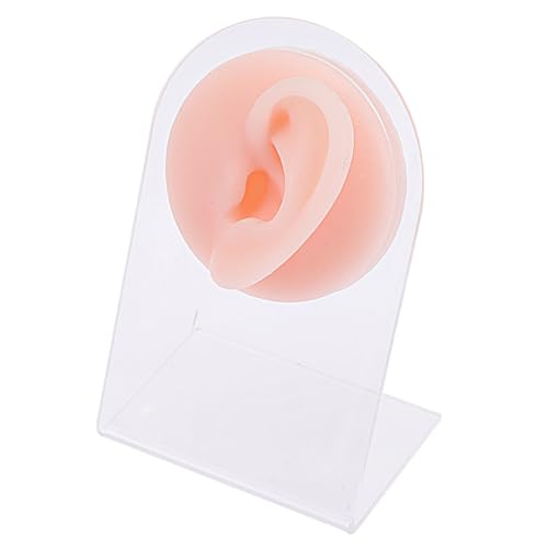 IMIKEYA Modelo de Oreja de Silicona para Práctica de Piercing y Acupuntura Soporte Acrílico para Exhibición de Pendientes Herramienta Duradera para Enseñanza y Clínica