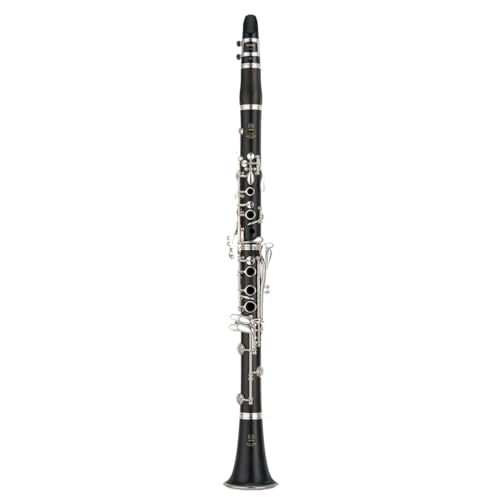 ほぼ未使用品　YAMAHA　B♭クラリネット YCL-450　純正ハードケース ほぼ未使用品 YAMAHA B♭クラリネット YCL-450 純正ハードケース