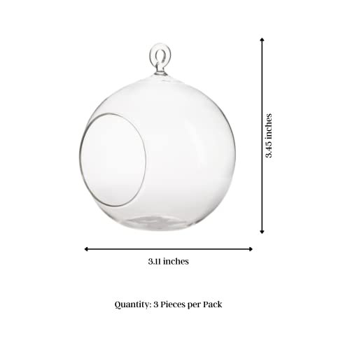 Sungrow 3 Hanging Glass Terrariums By Spherical Air Plant Orb, Handmade, Heat-Resistant Glass, Create Refreshing Atmosphere In Terrace Garden #TOP5