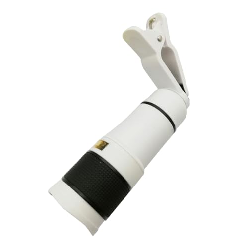 Ipetboom {Y[Ή gѓdbp ]Y P჌Y X}[gtHwʃJt\