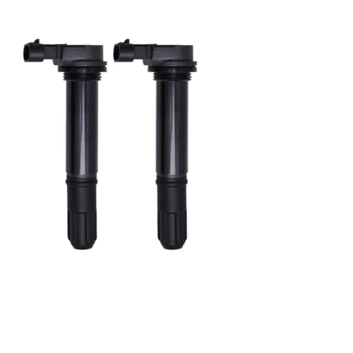 Bobine d'allumage de moto pour Leoncino 500 ABS TRK502 BJ500 SRT 550 (2pc)