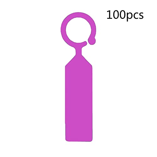 WYLZLKX Lot de 100 étiquettes à suspendre en plastique pour plantes et jardin Violet
