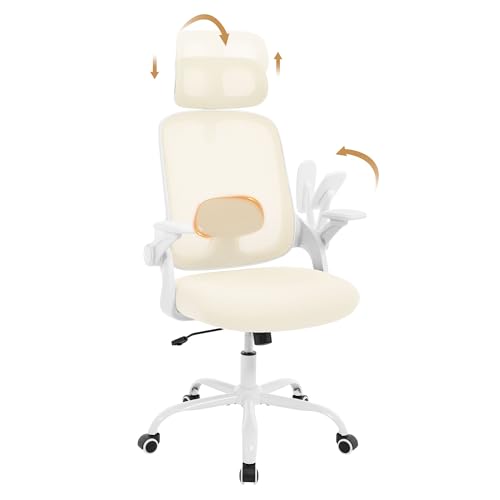 WOLTU Chaise de Bureau Ergonomique, en Maille, Appui-tête et Accoudoirs Réglables, Fauteuil de Bureau avec Support Lombaire, Dossier Inclinable, Beige