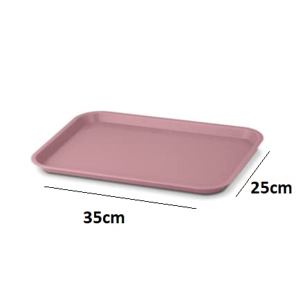 3 Pcs Dental Flat Tray Size B Autoclavable 250F Medical Procedure Instrument Set Up Flat Tray Size B - Coral